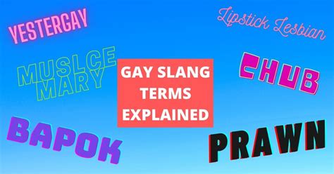 gay lingo starfish|LGBT slang .